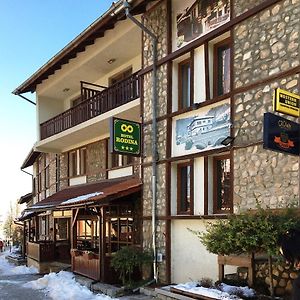 Hotel Rodina